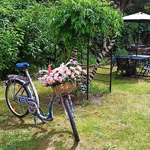 Retro Auberge de jeunesse Cracovie